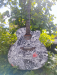 Signature Guiter